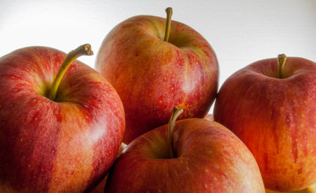 basket of red apples freshly picked from the tree