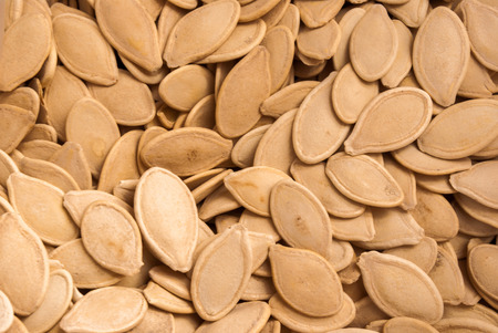 a lot of seeds from shells ready to be saltedの写真素材