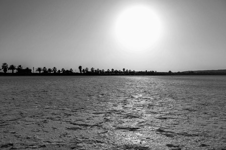 the saline landscape alienating place for birdwatchingの写真素材
