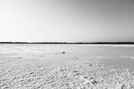 the saline landscape alienating place for birdwatchingの写真素材