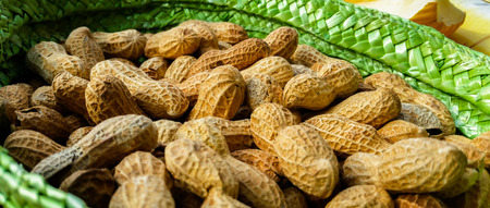 peanut ready to turn into butter or flourの写真素材