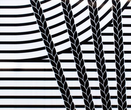 ears of corn in black and white stripes