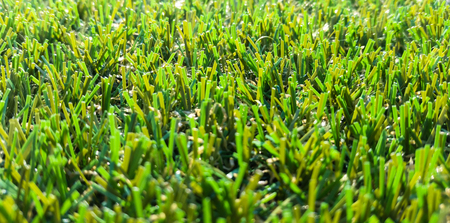portion of the synthetic turf used for sports flooringの写真素材