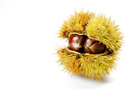 autumn chestnuts and grapesの写真素材