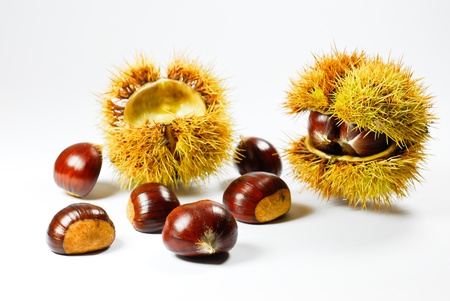 autumn chestnuts and grapesの写真素材