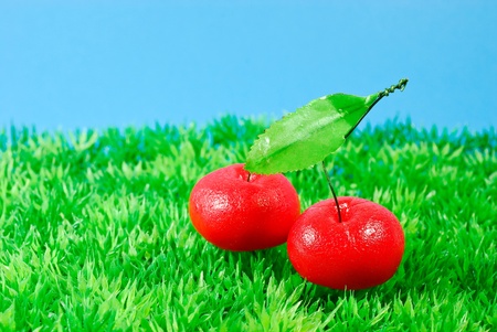 cherryの写真素材