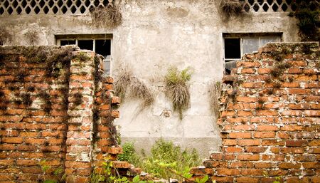 brick wallの写真素材