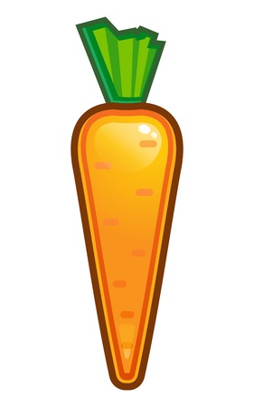vector illustration of raw carrot. Vegetableのイラスト素材