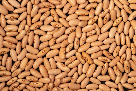 Plenty of light red dry kidney beans on black backgroundの写真素材