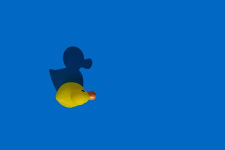 Yellow rubber duck and shadow on neon blue background. Place for text.の写真素材