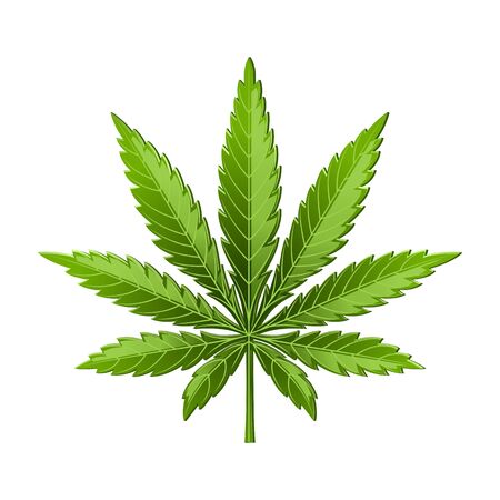 Marijuana leaf or cannabis leaf weed icon isolated on white backgroundのイラスト素材