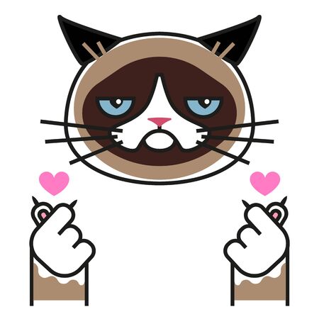Grumpy cat loves k pop. Korean symbol hand heart, love symbol in k pop. Design element for poster, greeting card, sticker, banner, a print on t shirts and bags.のイラスト素材