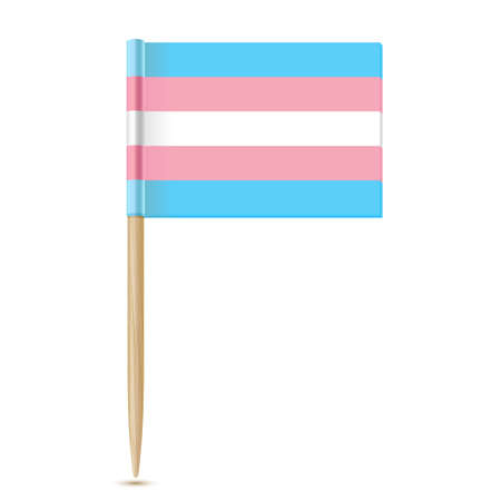 Transgender flag. Toothpick flag isolater on whiteのイラスト素材