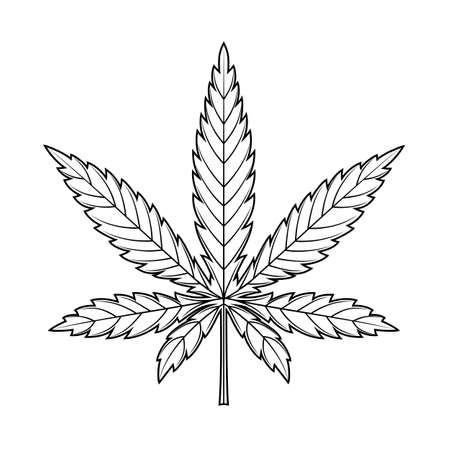 Marijuana leaf or cannabis leaf weed iconのイラスト素材