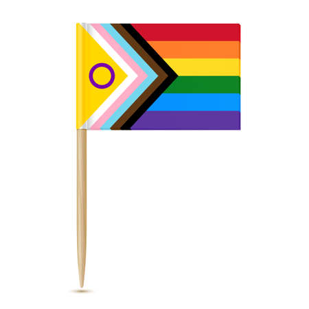 LGBTQ Pride Flag with intersex. Toothpick flagのイラスト素材