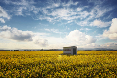rapeseed yellow beehive nature sunの写真素材