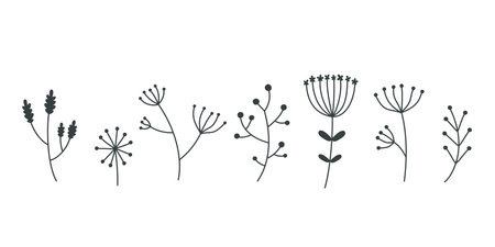 Outline silhouette set of herbs, flower and branches. Collection of floral vector element for design.のイラスト素材