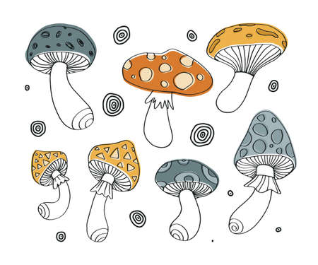Hand drawn outline mushroom vector set. Collection of sketch toadstool.のイラスト素材