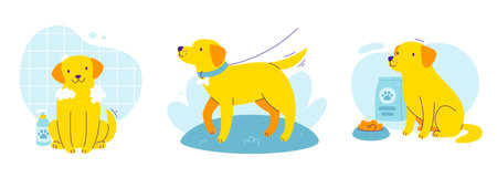Cute dog care set. Vector cartoon collection scene with labrador.のイラスト素材