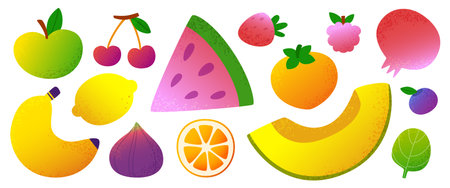 Summer fruit vector set. Cartoon fruits and berries collection. Textured fruit clipart bundle.のイラスト素材