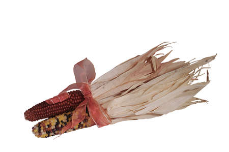 indian cornの写真素材