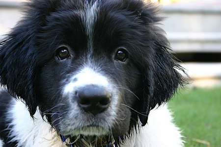 georgeの写真素材