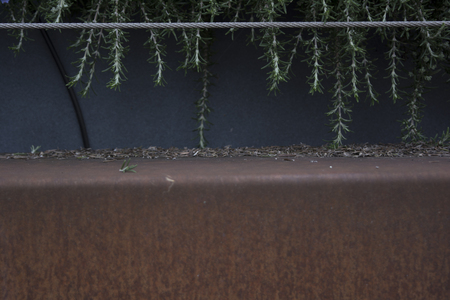 urban garden exampleの写真素材