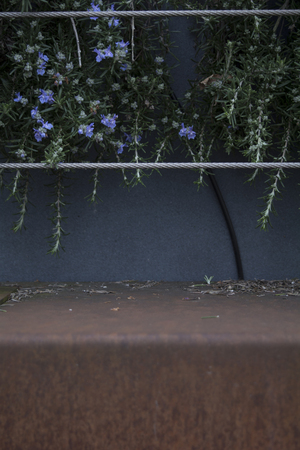 urban garden exampleの写真素材