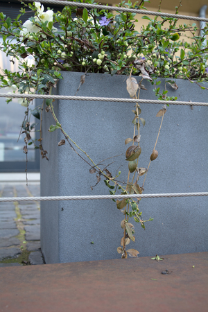 urban garden exampleの写真素材
