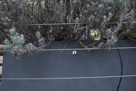 urban garden exampleの写真素材