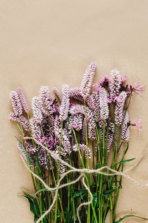 unusual beautiful violet and pink flowers on craft background, space for your textの写真素材