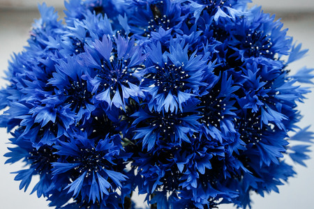 beautiful bunch of cornflowers in vase on wooden white window sill background, rustic wallpaper...