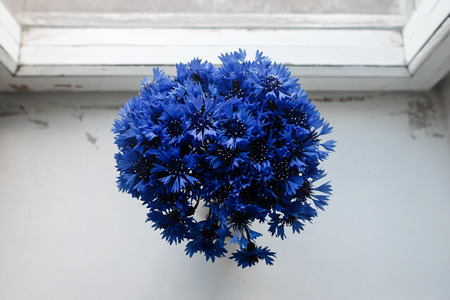 beautiful bunch of cornflowers in vase on wooden white window sill background, rustic wallpaper...