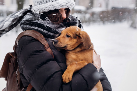 stylish hipster girl hugging and caressing cute puppy in snowy cold winter park. moments of true happiness. adoption concept. save animalsの写真素材