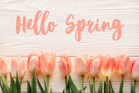 hello spring text sign, beautiful pink tulips on white rustic wooden background flat lay. flowers in soft morning sunlight with space for text. greeting card conceptの写真素材
