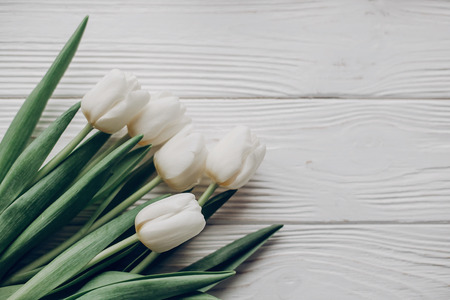 stylish white tulips on rustic wooden table background top view. hello spring flat lay. soft light, tenderness atmospheric moment. space for text. rustic weddingの写真素材