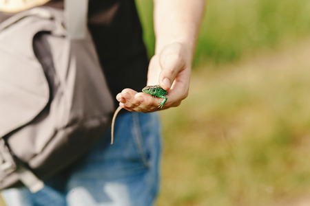 man holding green lizard in his hand in summer mountains,  travel  concept, space for text, discover and explore wildlifeの写真素材