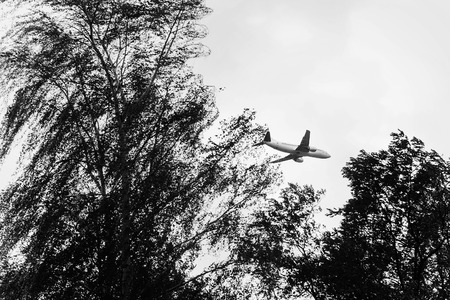 airplane flying in sky, view through trees in woods, black white photo. travel concept. space for...