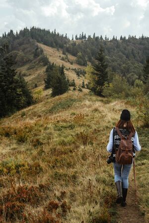 beautiful happy stylish traveling girl in the mountains on a background of a forestの写真素材