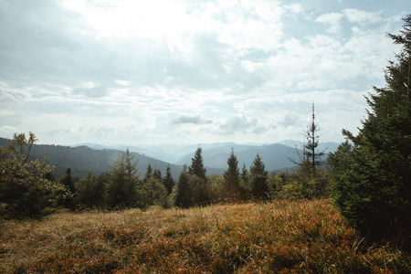 beautiful amazing landscape of sunny mountains, forest, sky and cloudsの写真素材