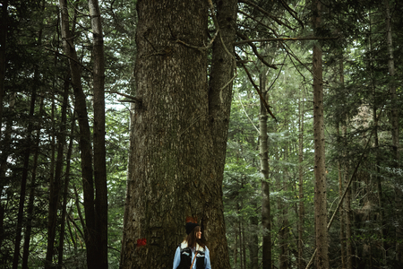 beautiful happy cute stylish girl near a big tree in the mountains on a background of a forestの写真素材