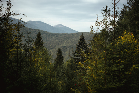 beautiful amazing landscape of sunny mountains, forest, sky and cloudsの写真素材