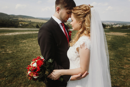 gorgeous bride and groom posing at field. luxury wedding couple at summer meadow hugging and embracing. together forever conceptの写真素材