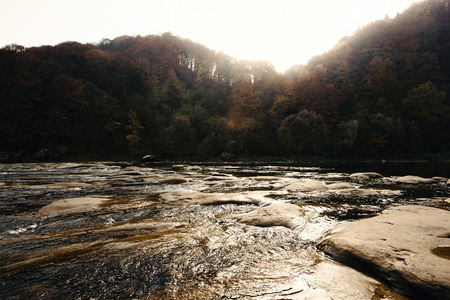 beautiful amazing autumn woods and river in sunlight, breathtaking landscapes  in ukrainian...