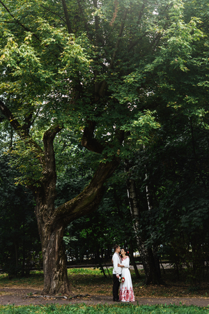 happy gorgeous bride and stylish groom standing under amazing tree in sunny parkの写真素材