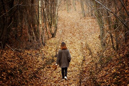 gorgeous stylish beautiful happy brunette girl on a background of sunny autumn forestの写真素材