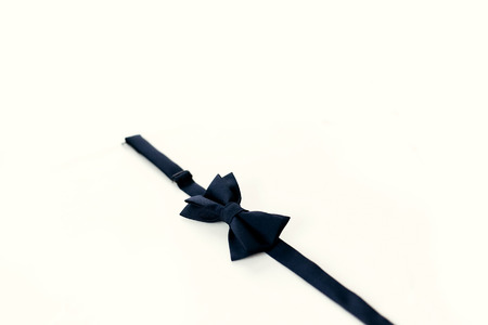 stylish bow tie on white background with space for text. groom getting ready in morning for wedding...