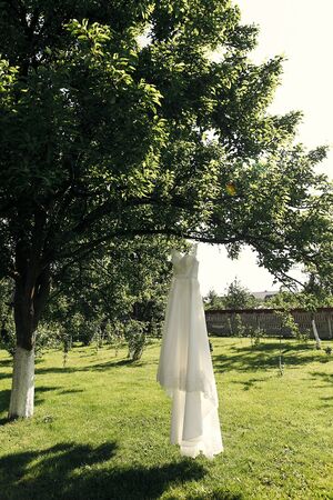 beautiful wedding dress hanging on tree in summer garden, morning preparation, space for textの写真素材