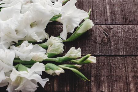 beautiful white gladioluses on rustic wooden background top view. stylish gladioli on rustic brown wood, space for text, holiday greeting card. floral flat lay, spring imageの写真素材