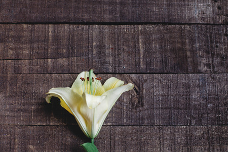 beautiful yellow lily flower on rustic wooden background flat lay. gorgeous bloom minimalistic  on rustic wood backdrop. space for text. greeting card. celebration concept. spring imageの写真素材